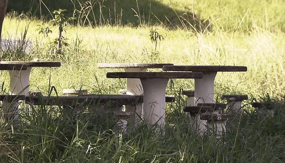 Parque Zilda Arns - Leste Online