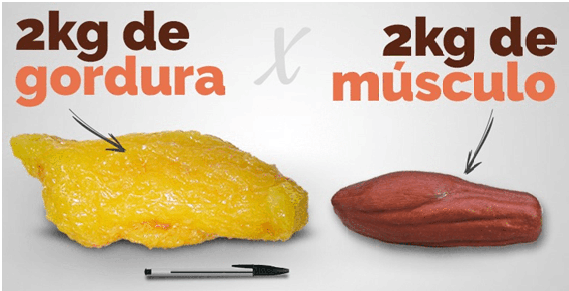 Gordura x Músculo - Leste Online