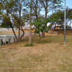 Ponte Itaim - Leste Online