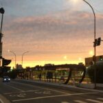Ibirapuera - Leste Online