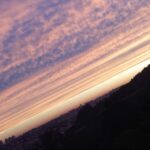 Zona Leste - Leste Online