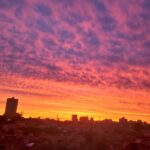 Tarde SP - Leste Online