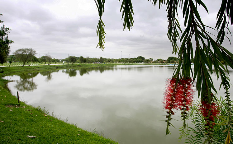 Parque Tietê - Leste Online