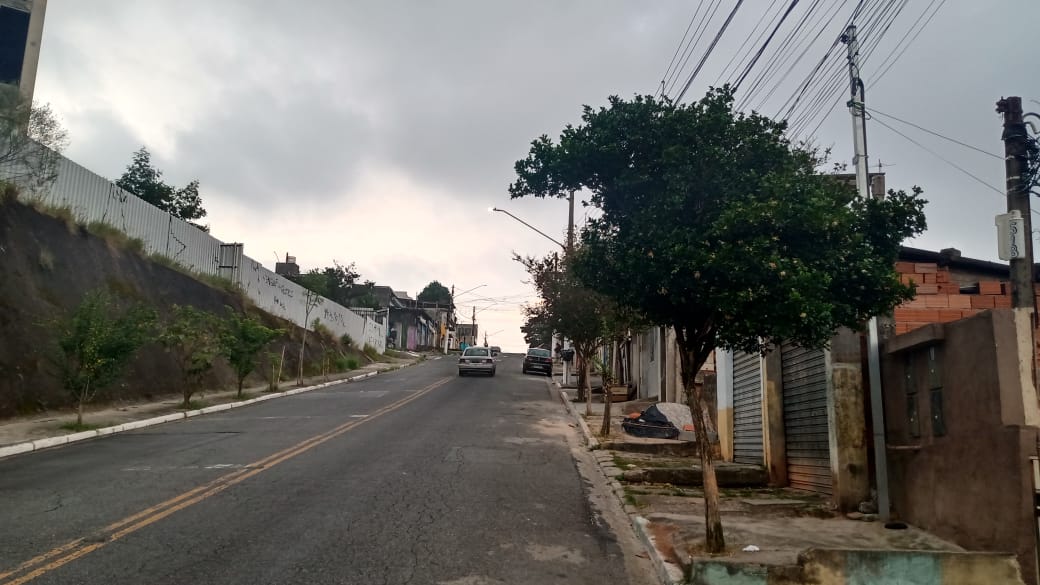 Rua Maria Baumann - Leste Online