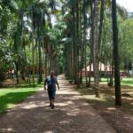 Euclides Mendes - Leste Online