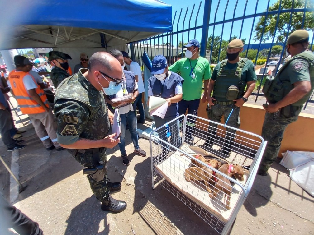 Resgate feira - Leste Online