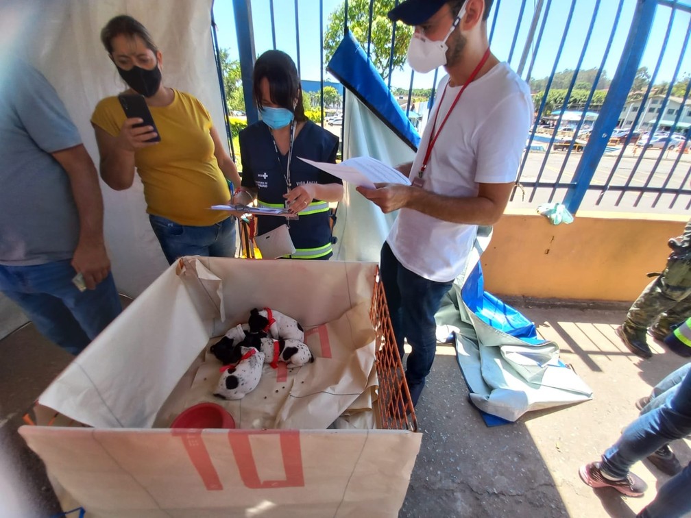 Resgate feira - Leste Online